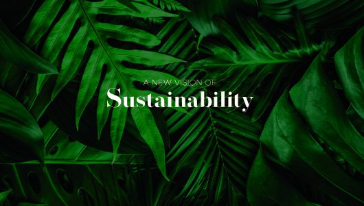 A New Vision of Sustainability